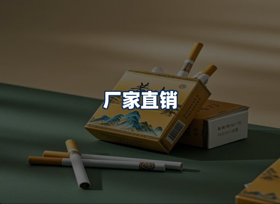 专业团队办公环境